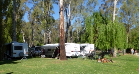 Murraybank Caravan Park Mathoura - grassy camping caravan site
