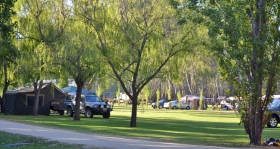 Murraybank Caravan Park Mathoura - grassy camping caravan site